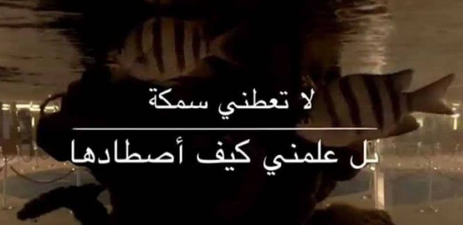 لاتعطني سمكة بل علمني كيف أصطاد